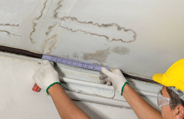 Reliable Mold Remediation contractor in Cisco, TX by Water Damage Irwin